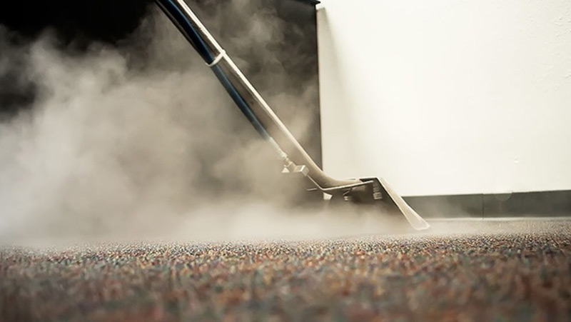 Best Carpet Cleaner